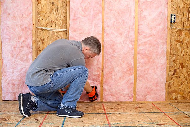 Best Spray Foam Insulation  in Edneyville, NC